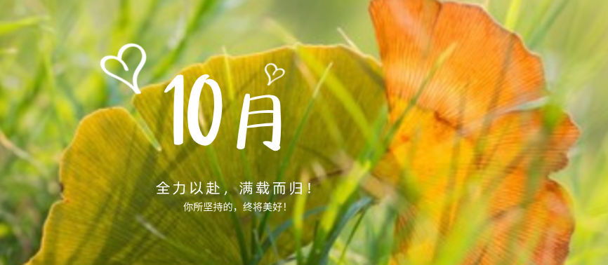 蓄力下半場|“十不我待，吾力全開”！網(wǎng)站設(shè)計(jì)、網(wǎng)站優(yōu)化都快做起來！